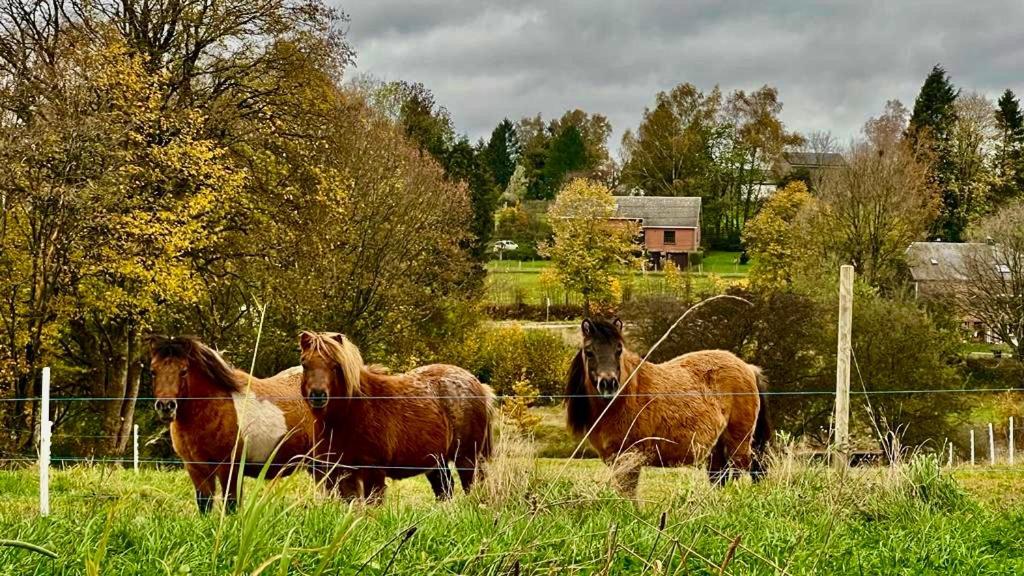 La Maison Attila En Ardennes Libin Exteriör bild